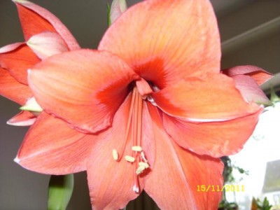 Photo2.jpg