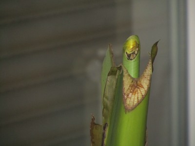 IMG_0769.JPG