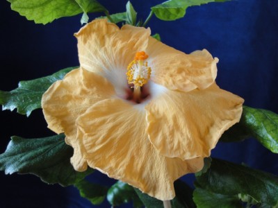 Fifth Dimension x Fifth Dimension, day 2.JPG