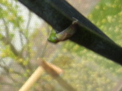RSCN4836.JPG