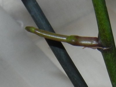 RSCN4834.JPG