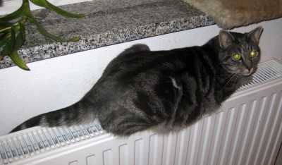 Fendti ist kalt _0400.jpg