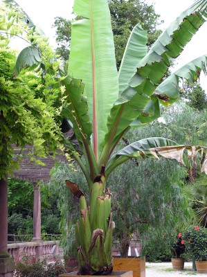 Bild046.jpg