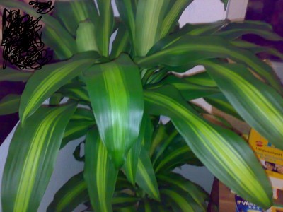 20112011581.jpg