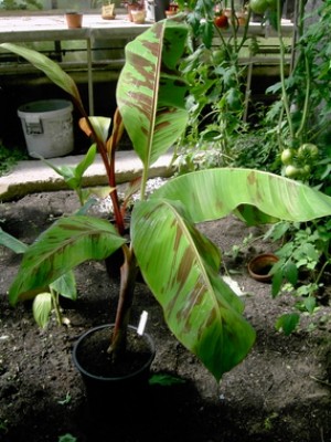 PICT0034.JPG