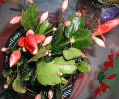 neu 21.11.11.jpg