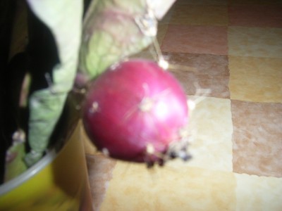 RIMG0085.JPG
