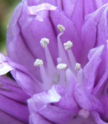 Raetsel (559x640).jpg