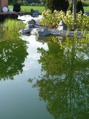 2603-Wasser-und-Technik-im-Garten.jpg