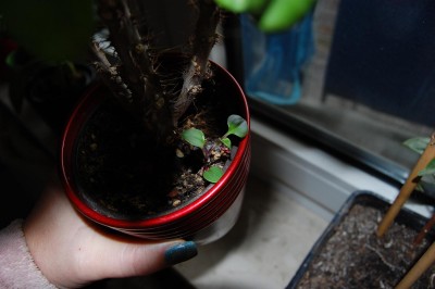 DSC_9202.jpg