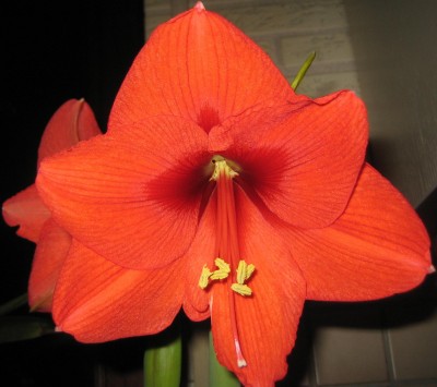 Bild green24 3 011.jpg