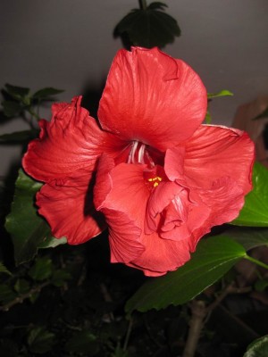 Größenänderung IMG_3535.JPG