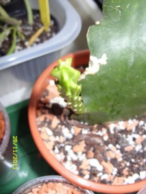 Photo4.jpg