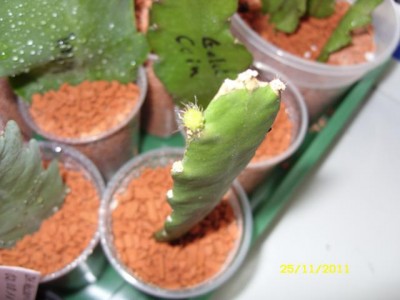 Photo6.jpg