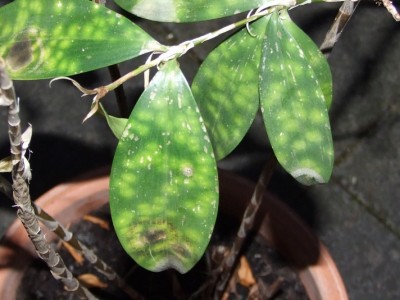 DSCF6670.JPG