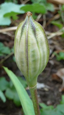 Raetsel 2 (1) - Kopie.JPG