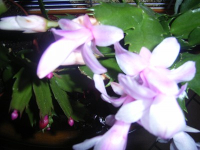 RIMG0104.JPG