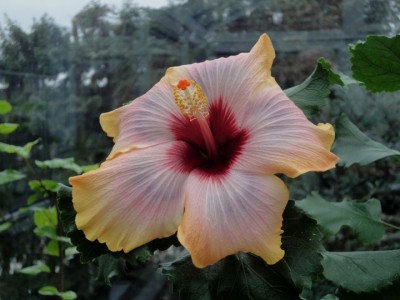Eye of the Storm x Fifth Dimension 27-11-2011.JPG