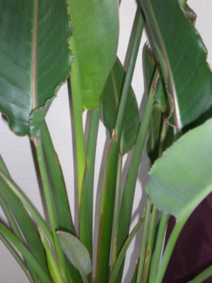 CIMG6872.JPG