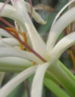 Ausschnitt Kopie.jpg