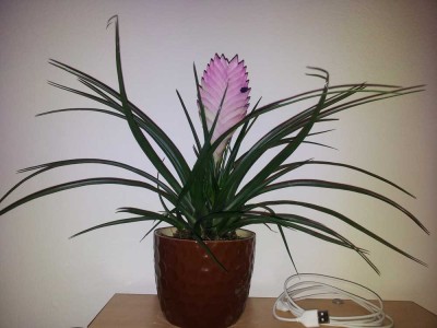 20111130_010712.jpg