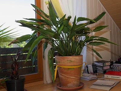 PB304449.JPG