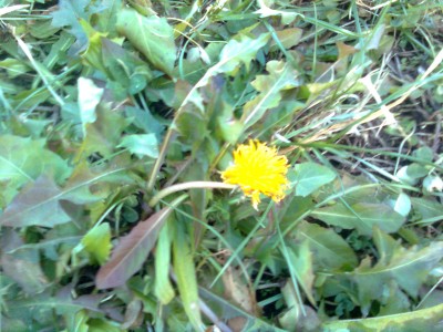 Bild0554.jpg