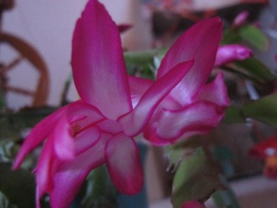 02.12.11 008.JPG
