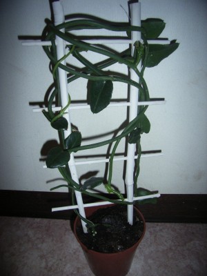 RIMG0107.JPG