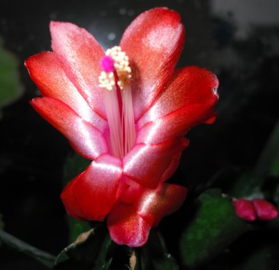 02.12.11-1.jpg