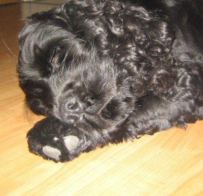 Bild green24 3 019.jpg