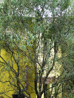 DSCF1815.JPG