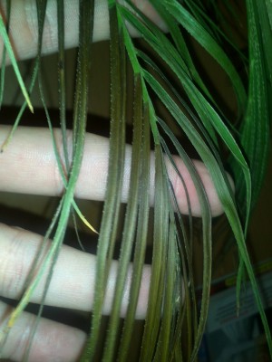 IMG026.jpg