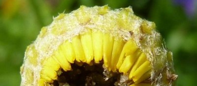 Raetsel 26 - Kopie (640x480).jpg