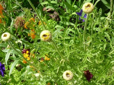 Raetsel 26 (1) - Kopie (640x480).jpg