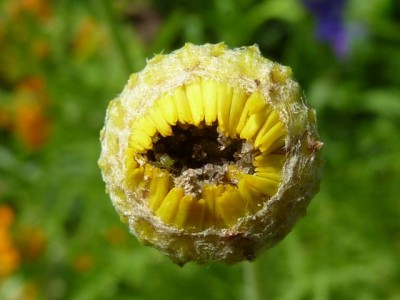 Raetsel 26 (4) - Kopie (640x480).jpg