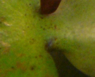 rätsel dezember neu.jpg