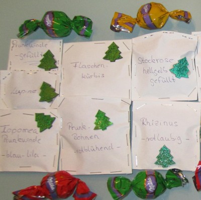 Bild green24 3 031.jpg