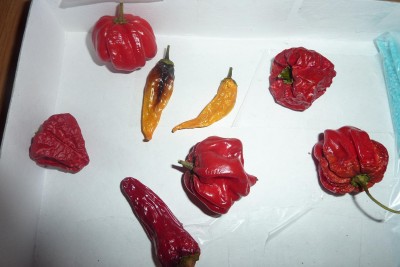 P1020116.JPG