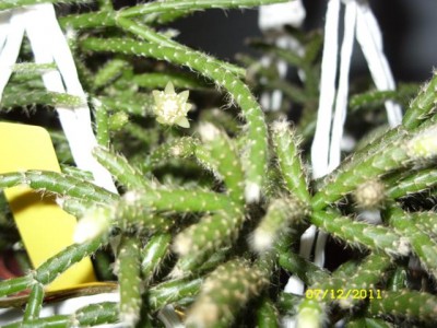 Photo4.jpg