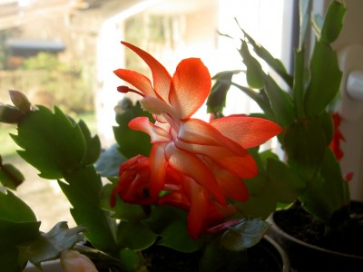 PICT1202.JPG