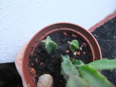 DSCF1157.JPG