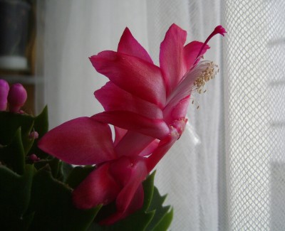 PIC_0014.JPG