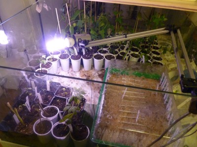 plantarium.jpg