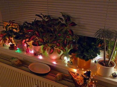 by night.jpg