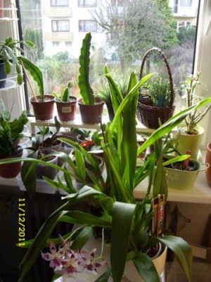 Photo3.jpg
