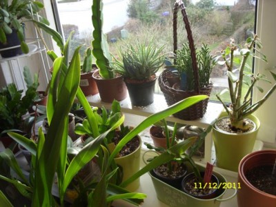 Photo2.jpg