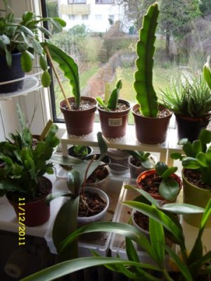 Photo1.jpg