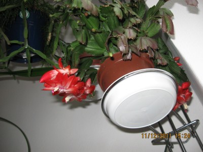 2011_8184.jpg