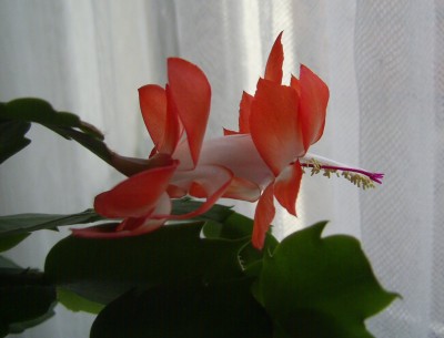 PIC_0014.JPG